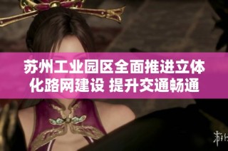 苏州工业园区全面推进立体化路网建设 提升交通畅通效率