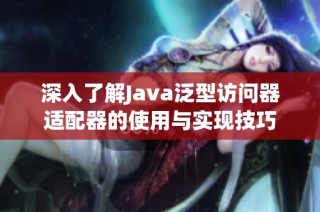 深入了解Java泛型访问器适配器的使用与实现技巧