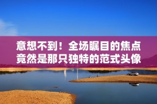 意想不到！全场瞩目的焦点竟然是那只独特的范式头像框