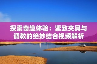 探索奇趣体验：紧致夹具与调教的绝妙结合视频解析