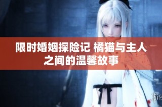 限时婚姻探险记 橘猫与主人之间的温馨故事