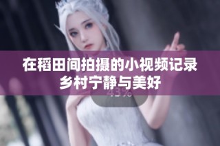 在稻田间拍摄的小视频记录乡村宁静与美好