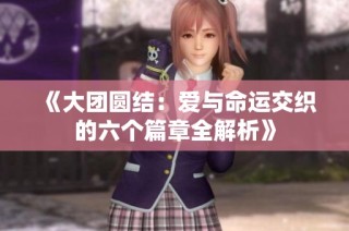 《大团圆结：爱与命运交织的六个篇章全解析》