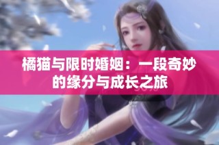 橘猫与限时婚姻：一段奇妙的缘分与成长之旅