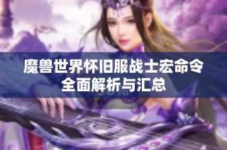 魔兽世界怀旧服战士宏命令全面解析与汇总