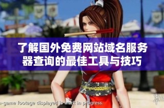 了解国外免费网站域名服务器查询的最佳工具与技巧