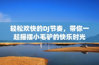 轻松欢快的DJ节奏，带你一起摇摆小毛驴的快乐时光
