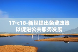 17·c18-新规提出免费政策以促进公共服务发展