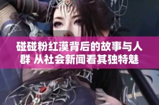 碰碰粉红漠背后的故事与人群 从社会新闻看其独特魅力与影响