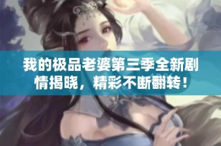 我的极品老婆第三季全新剧情揭晓，精彩不断翻转！