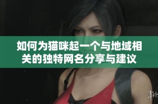 如何为猫咪起一个与地域相关的独特网名分享与建议