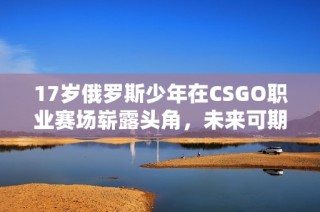 17岁俄罗斯少年在CSGO职业赛场崭露头角，未来可期
