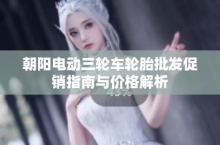 朝阳电动三轮车轮胎批发促销指南与价格解析