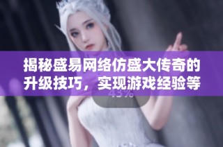 揭秘盛易网络仿盛大传奇的升级技巧，实现游戏经验等级快速提升的有效方法