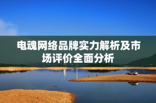 电魂网络品牌实力解析及市场评价全面分析