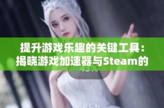 提升游戏乐趣的关键工具：揭晓游戏加速器与Steam的实用技巧分享