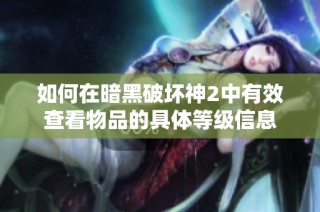 如何在暗黑破坏神2中有效查看物品的具体等级信息