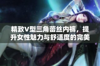 精致V型三角蕾丝内裤，提升女性魅力与舒适度的完美选择