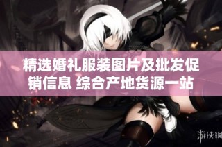 精选婚礼服装图片及批发促销信息 综合产地货源一站式服务导购