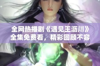 全网热播剧《遇见王沥川》全集免费看，精彩回顾不容错过