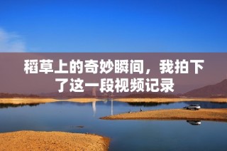 稻草上的奇妙瞬间，我拍下了这一段视频记录