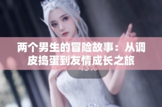 两个男生的冒险故事：从调皮捣蛋到友情成长之旅