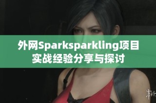 外网Sparksparkling项目实战经验分享与探讨
