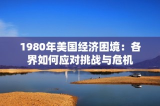 1980年美国经济困境：各界如何应对挑战与危机