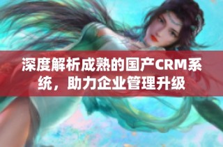 深度解析成熟的国产CRM系统，助力企业管理升级