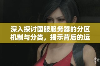深入探讨国服服务器的分区机制与分类，揭示背后的运作原理与用户体验优化