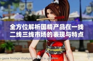 全方位解析国精产品在一线二线三线市场的表现与特点