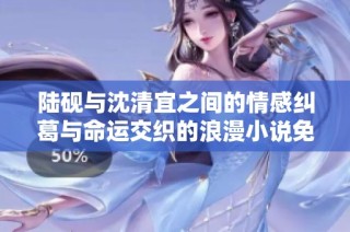 陆砚与沈清宜之间的情感纠葛与命运交织的浪漫小说免费阅读