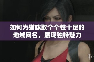 如何为猫咪取个个性十足的地域网名，展现独特魅力
