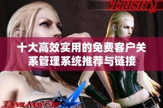 十大高效实用的免费客户关系管理系统推荐与链接