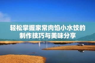 轻松掌握家常肉馅小水饺的制作技巧与美味分享