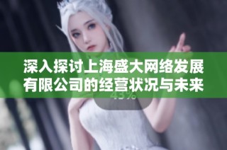 深入探讨上海盛大网络发展有限公司的经营状况与未来发展战略分析