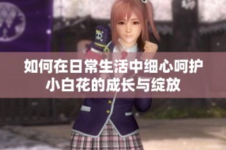 如何在日常生活中细心呵护小白花的成长与绽放