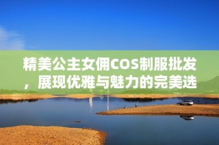精美公主女佣COS制服批发，展现优雅与魅力的完美选择