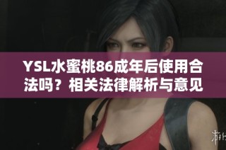 YSL水蜜桃86成年后使用合法吗？相关法律解析与意见指南