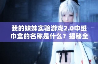 我的妹妹实验游戏2.0中纸巾盒的名称是什么？揭秘全新玩法！