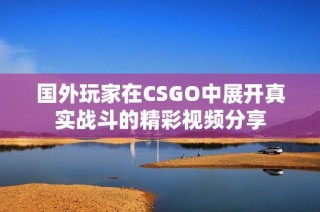 国外玩家在CSGO中展开真实战斗的精彩视频分享