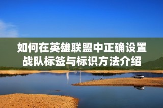如何在英雄联盟中正确设置战队标签与标识方法介绍