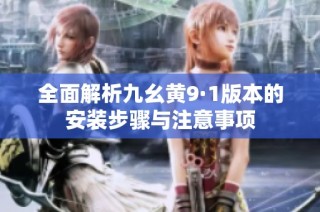 全面解析九幺黄9·1版本的安装步骤与注意事项