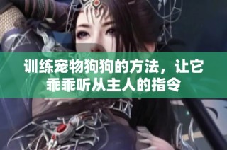 训练宠物狗狗的方法，让它乖乖听从主人的指令