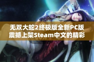 无双大蛇2终极版全新PC版震撼上架Steam中文的精彩体验