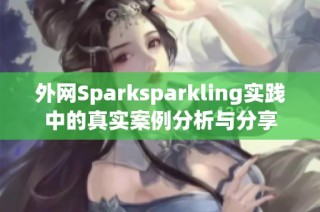 外网Sparksparkling实践中的真实案例分析与分享