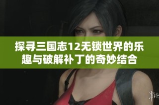 探寻三国志12无锁世界的乐趣与破解补丁的奇妙结合
