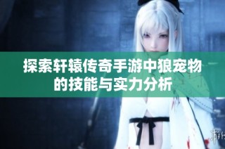 探索轩辕传奇手游中狼宠物的技能与实力分析