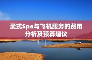 柔式Spa与飞机服务的费用分析及预算建议