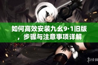如何高效安装九幺9·1旧版，步骤与注意事项详解